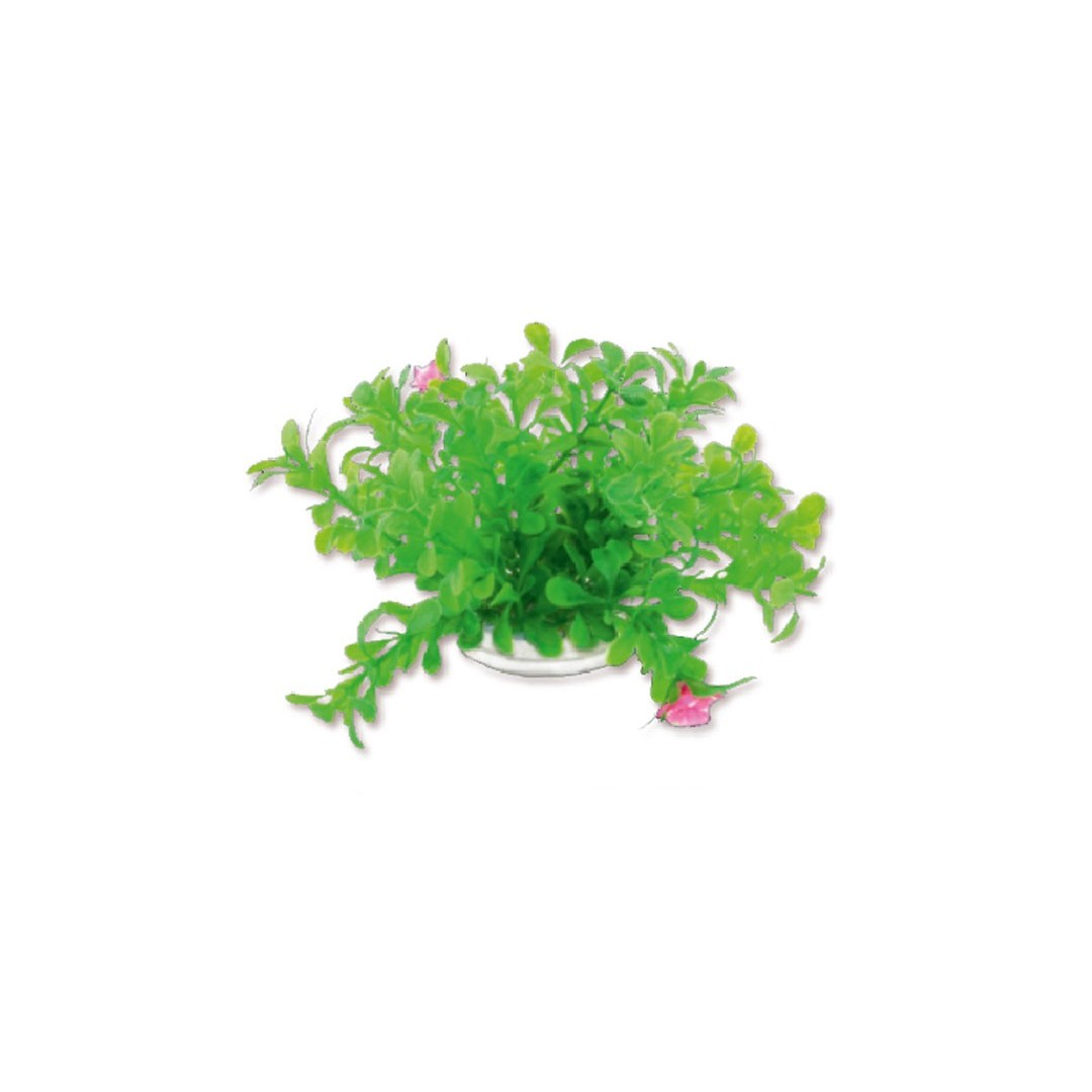 1f18-artificial-plant-blister-10cm-happet Rastlina do akvária 10 cm – Obrázok 1