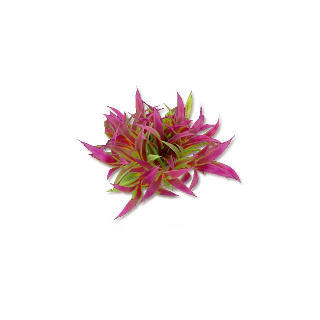 1f24-artificial-plant-blister-10cm-happet Rastlina do akvária 10 cm – Obrázok 1