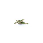 Magnum krútená tyčka 12,5 cm 50ks GREEN / WHITE – Obrázok 2
