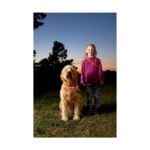 Visio Light svítící obojek 20-75cm Karlie fialovo-rùový – Obrázok 8