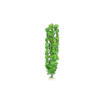 Rastlina do akvária 40 cm