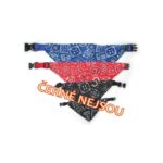 Obojek nylon se átkem 15 x 25-40cm (èervený/modrý) – Obrázok 2