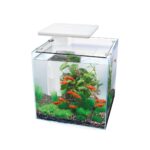 Aquarium QB-30 LED Hailea White