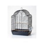 Cage AVI 55K