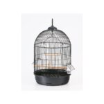 Cage AVI 63Z gold
