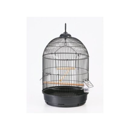 Cage AVI 63Z gold
