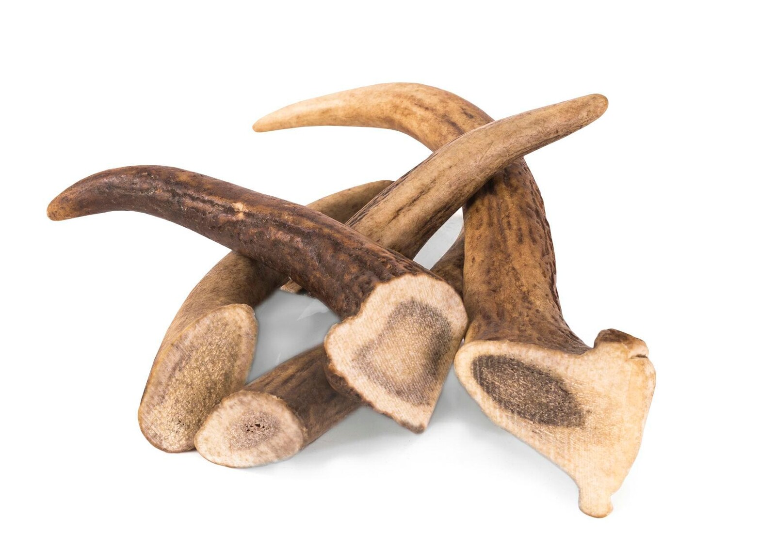 deer-antler-chew-xs-hard-kat00710- Jelenie parožie hard L – Obrázok 1