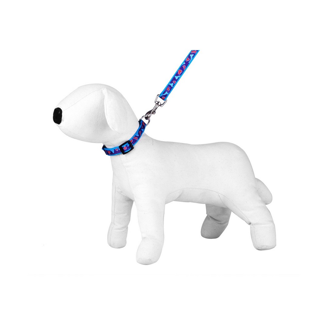 leash-amp-collar-set-happet-s144 Leash & Collar / Set - Happet S144 – Obrázok 1