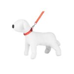 Leash & Collar / Set - Happet SC44