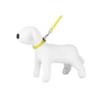 Leash & Collar / Set - Happet SD43