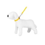 Leash & Collar SET - Happet SZ44 - Yellow / 2,5cm