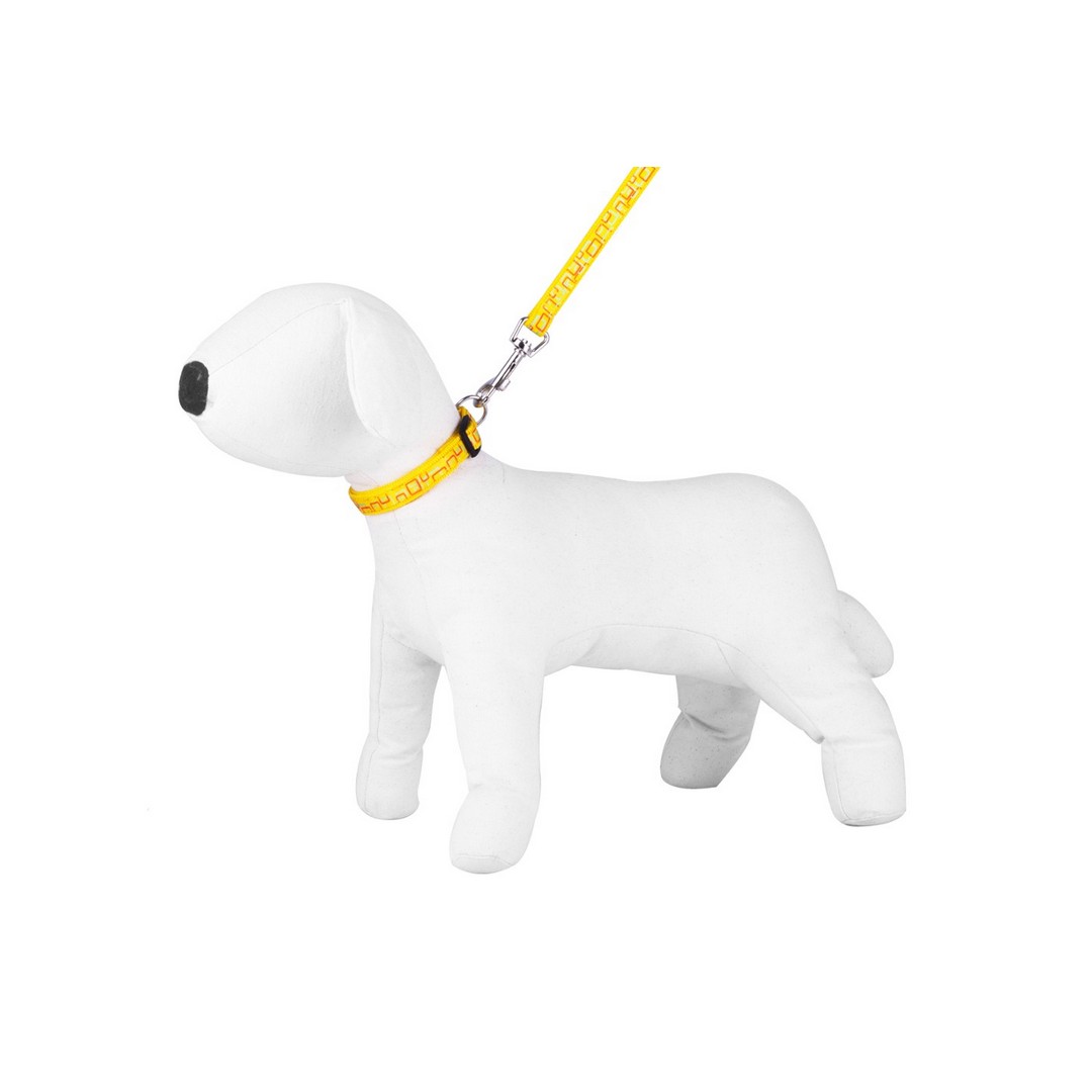 leash-amp-collar-set-happet-sz44-yellow-2-5cm Leash & Collar SET - Happet SZ44 - Yellow / 2,5cm – Obrázok 1