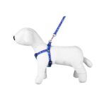 Leash & Harness SET - Happet S154 - Purple / 2,5cm