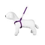 Leash & Harness SET - Happet SA53 - Purple / 2cm
