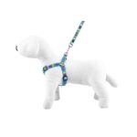 Leash & Harness SET - Happet SK54 - 2,5cm