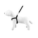Leash & Harness SET - Happet ST54 - Black / 2,5cm