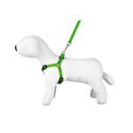 Leash & Harness SET - Happet SU52 - Green / 1,5cm