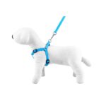 Leash & Harness SET - Happet SV53 - Blue / 2cm