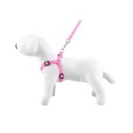 Leash & Harness SET - Happet SW53 - Pink / 2cm
