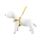 Leash & Harness SET - Happet SZ54 - Yellow / 2,5cm