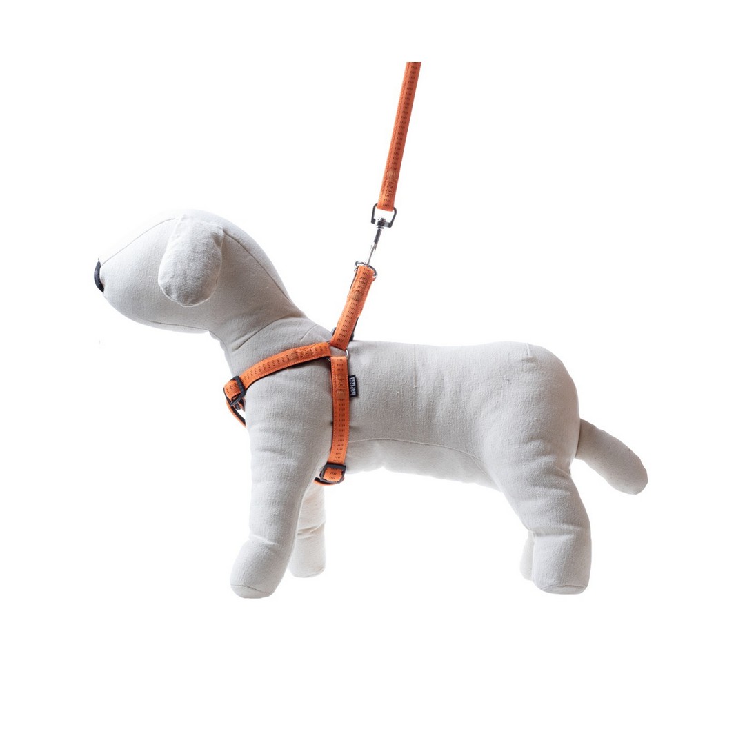 leash-amp-harness-set-nylon-l-soft-style-orange-happet-jp53 Postroj s vodítkom Soft style oranžový L – Obrázok 1