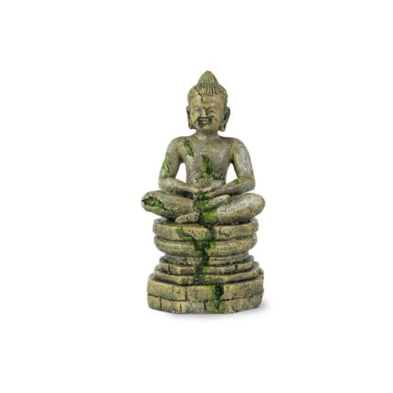 Dekorácia HINDU Budha