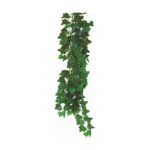 Terárijná rastlina 50 cm