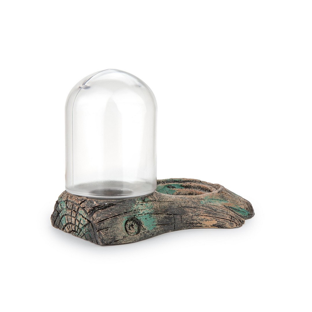 water-bottle-with-bowl Fľaša na vodu s miskou 16cm – Obrázok 1