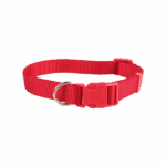 Obojok pre psa 1x30 cm – Obrázok 4