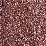 Ľanové semiačko 800 g – Obrázok 2