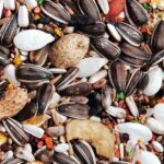 EXTRA MIX pre papagáje 800 g – Obrázok 2