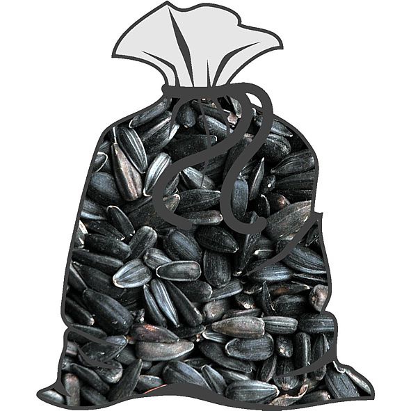 slnečnicaa 30 kg Slnečnica čierna 30 kg – Obrázok 1