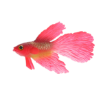 Fluores. ryba 8 x 1,5 x 2 cm – Obrázok 4
