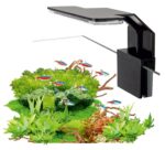 Lampa AquaLED mini Black 6W
