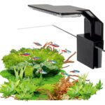 Lampa AquaLED mini Black 6W