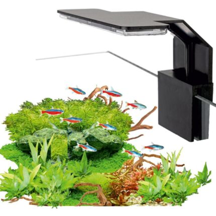 Lampa AquaLED mini Black 6W