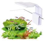 Lampa AquaLED mini White 6W